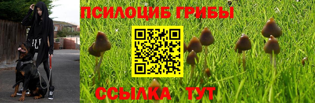 Сочи  Галлюциногенные грибы Psilocybine cubensis  Вход с VPN 